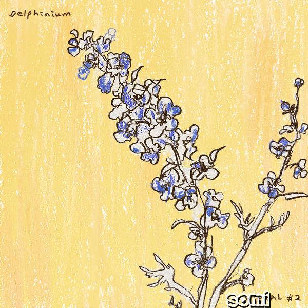 Image Cover